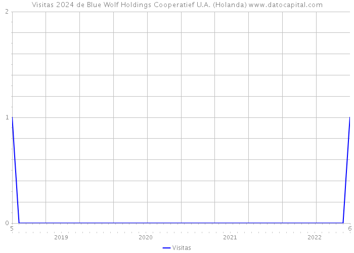 Visitas 2024 de Blue Wolf Holdings Cooperatief U.A. (Holanda) 