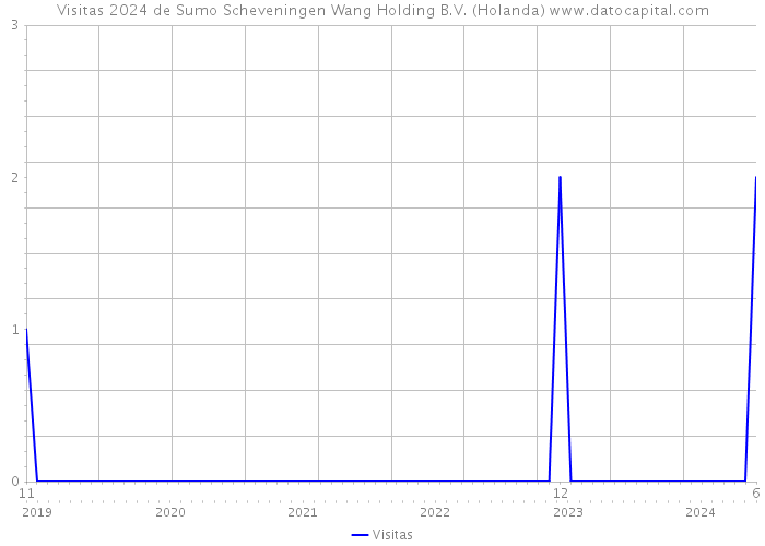 Visitas 2024 de Sumo Scheveningen Wang Holding B.V. (Holanda) 