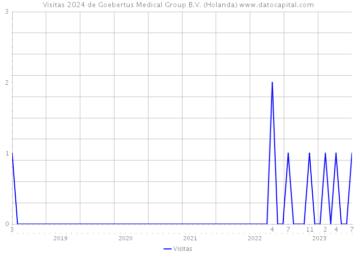 Visitas 2024 de Goebertus Medical Group B.V. (Holanda) 
