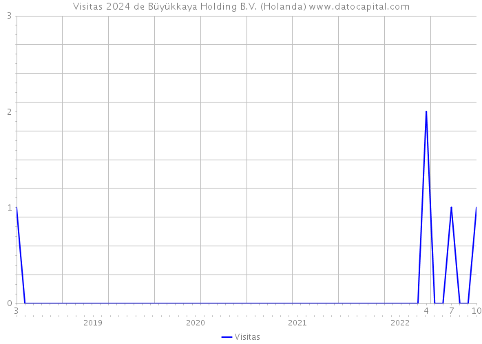Visitas 2024 de Büyükkaya Holding B.V. (Holanda) 