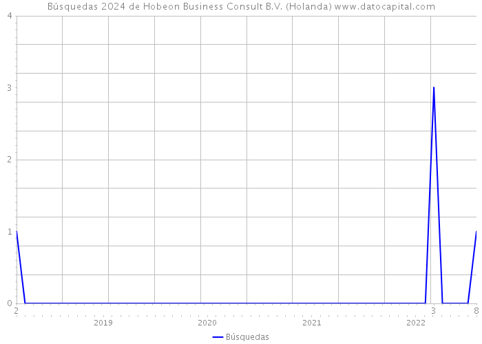 Búsquedas 2024 de Hobeon Business Consult B.V. (Holanda) 