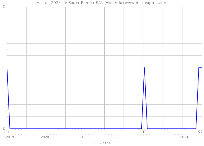 Visitas 2024 de Sauer Beheer B.V. (Holanda) 