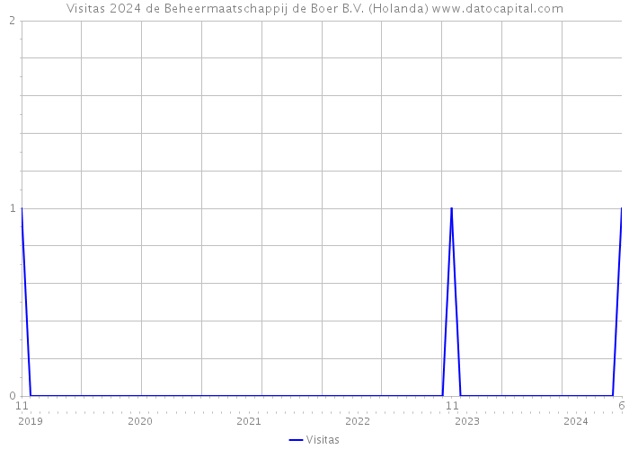 Visitas 2024 de Beheermaatschappij de Boer B.V. (Holanda) 