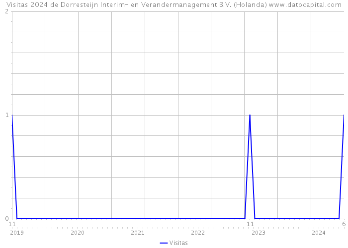 Visitas 2024 de Dorresteijn Interim- en Verandermanagement B.V. (Holanda) 