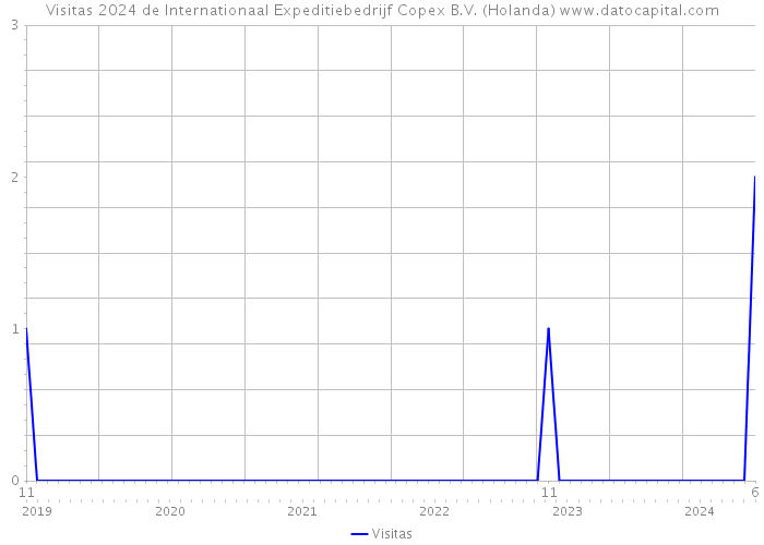 Visitas 2024 de Internationaal Expeditiebedrijf Copex B.V. (Holanda) 