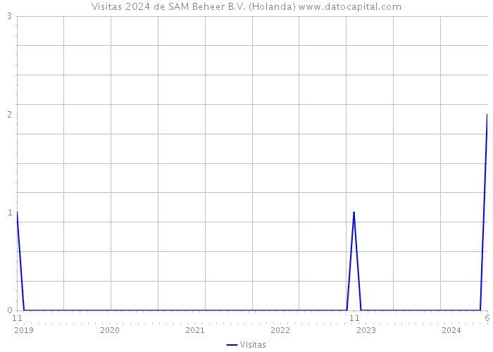 Visitas 2024 de SAM Beheer B.V. (Holanda) 