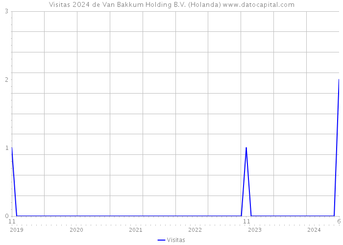 Visitas 2024 de Van Bakkum Holding B.V. (Holanda) 