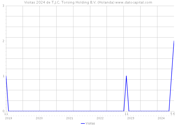 Visitas 2024 de T.J.C. Torsing Holding B.V. (Holanda) 
