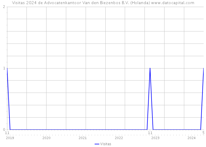 Visitas 2024 de Advocatenkantoor Van den Biezenbos B.V. (Holanda) 