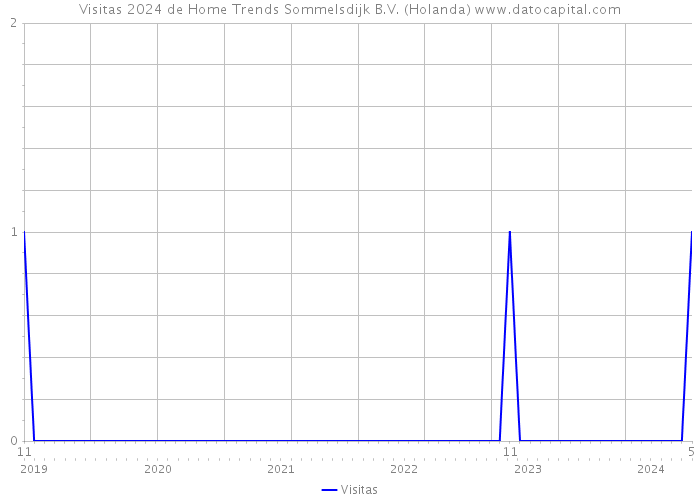 Visitas 2024 de Home Trends Sommelsdijk B.V. (Holanda) 