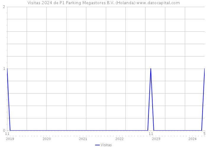 Visitas 2024 de P1 Parking Megastores B.V. (Holanda) 