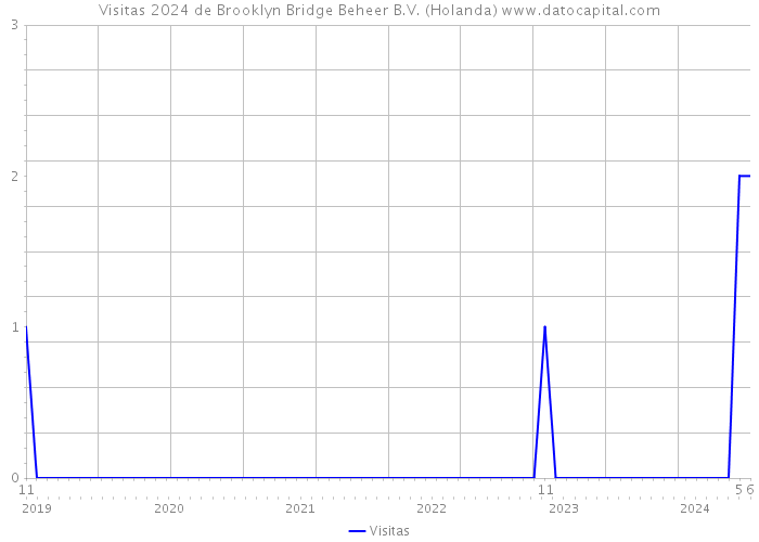 Visitas 2024 de Brooklyn Bridge Beheer B.V. (Holanda) 