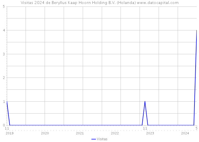 Visitas 2024 de Beryllus Kaap Hoorn Holding B.V. (Holanda) 