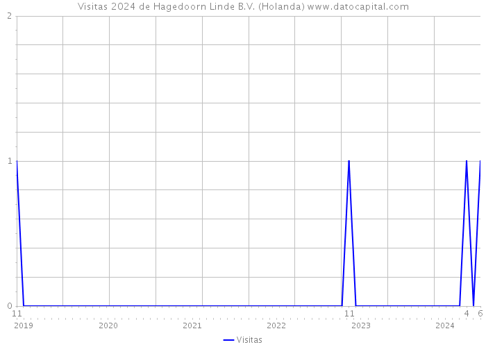 Visitas 2024 de Hagedoorn Linde B.V. (Holanda) 