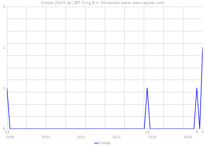 Visitas 2024 de GBT Zorg B.V. (Holanda) 