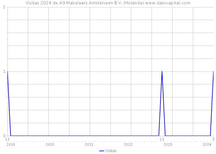 Visitas 2024 de A9 Makelaars Amstelveen B.V. (Holanda) 