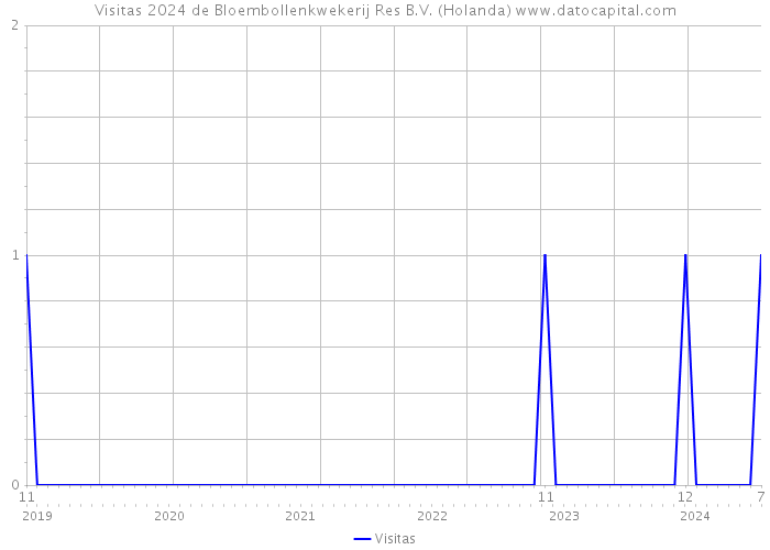 Visitas 2024 de Bloembollenkwekerij Res B.V. (Holanda) 