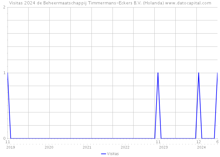 Visitas 2024 de Beheermaatschappij Timmermans-Eckers B.V. (Holanda) 