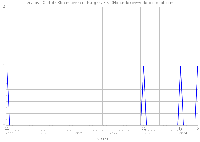 Visitas 2024 de Bloemkwekerij Rutgers B.V. (Holanda) 