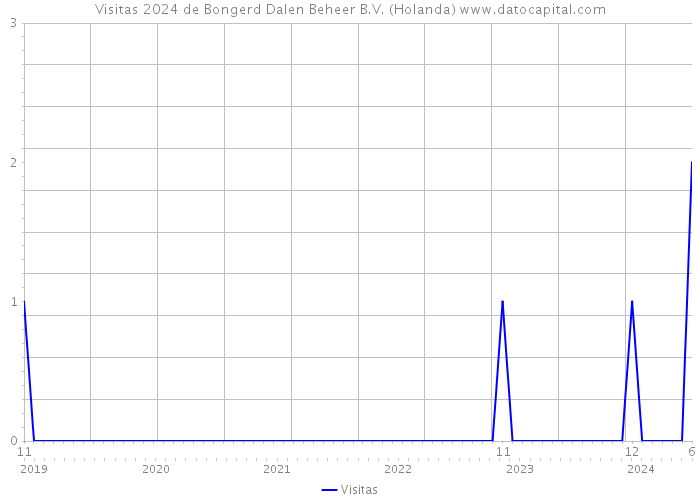 Visitas 2024 de Bongerd Dalen Beheer B.V. (Holanda) 