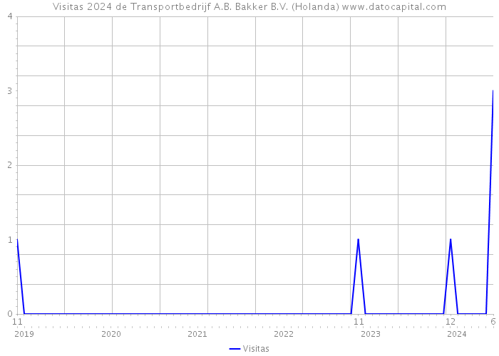 Visitas 2024 de Transportbedrijf A.B. Bakker B.V. (Holanda) 