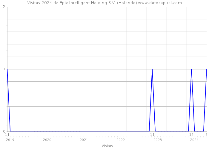 Visitas 2024 de Epic Intelligent Holding B.V. (Holanda) 