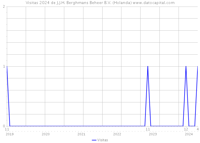 Visitas 2024 de J.J.H. Berghmans Beheer B.V. (Holanda) 