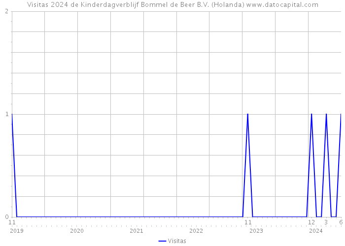 Visitas 2024 de Kinderdagverblijf Bommel de Beer B.V. (Holanda) 