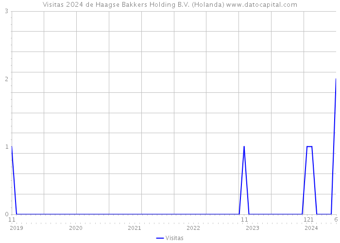 Visitas 2024 de Haagse Bakkers Holding B.V. (Holanda) 