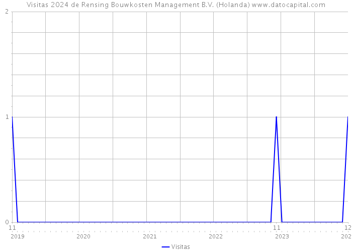 Visitas 2024 de Rensing Bouwkosten Management B.V. (Holanda) 