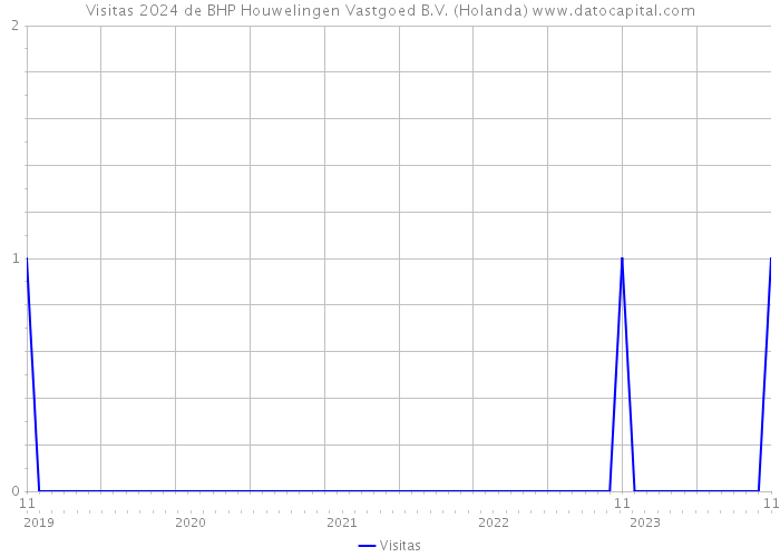 Visitas 2024 de BHP Houwelingen Vastgoed B.V. (Holanda) 