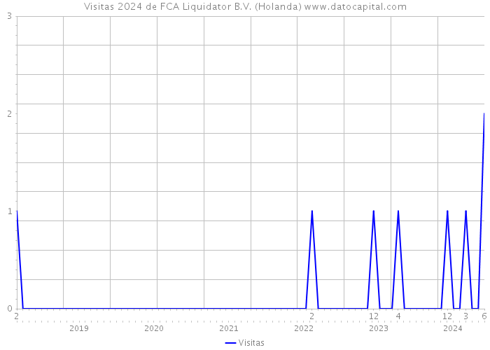 Visitas 2024 de FCA Liquidator B.V. (Holanda) 