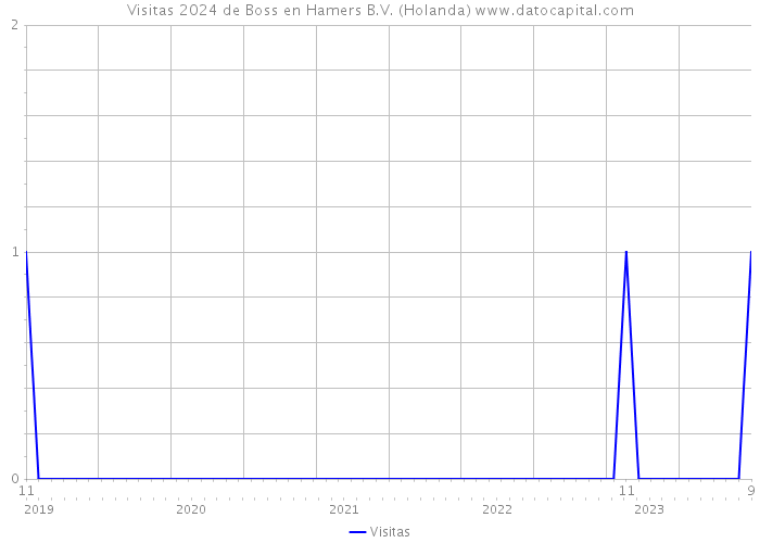 Visitas 2024 de Boss en Hamers B.V. (Holanda) 