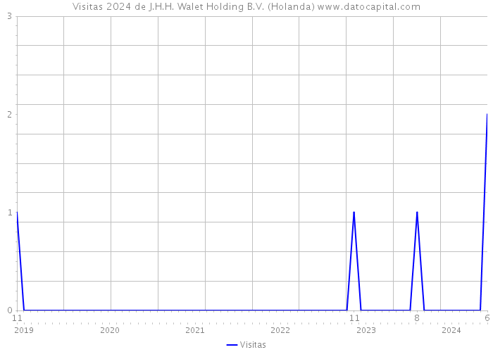 Visitas 2024 de J.H.H. Walet Holding B.V. (Holanda) 