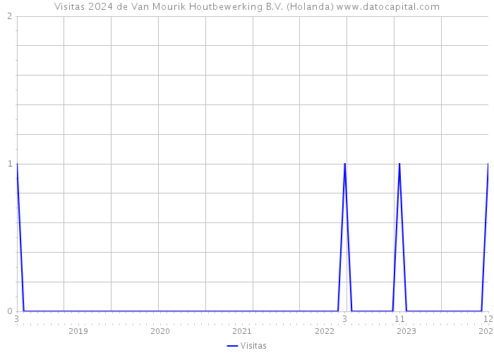 Visitas 2024 de Van Mourik Houtbewerking B.V. (Holanda) 