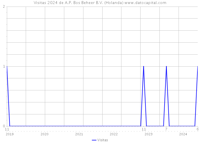 Visitas 2024 de A.P. Bos Beheer B.V. (Holanda) 