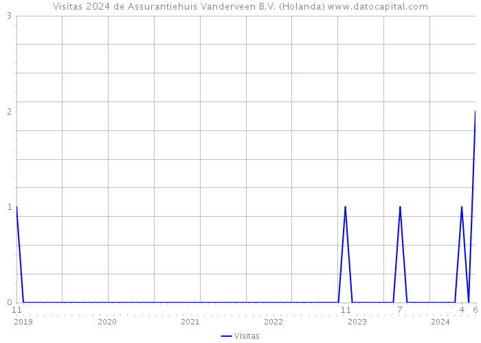 Visitas 2024 de Assurantiehuis Vanderveen B.V. (Holanda) 