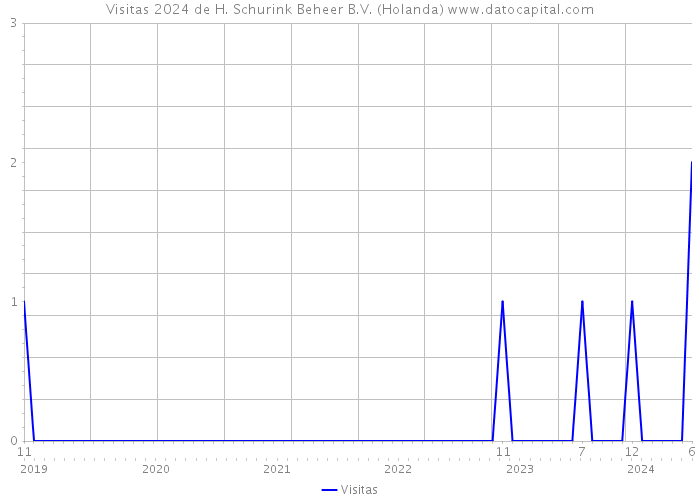 Visitas 2024 de H. Schurink Beheer B.V. (Holanda) 