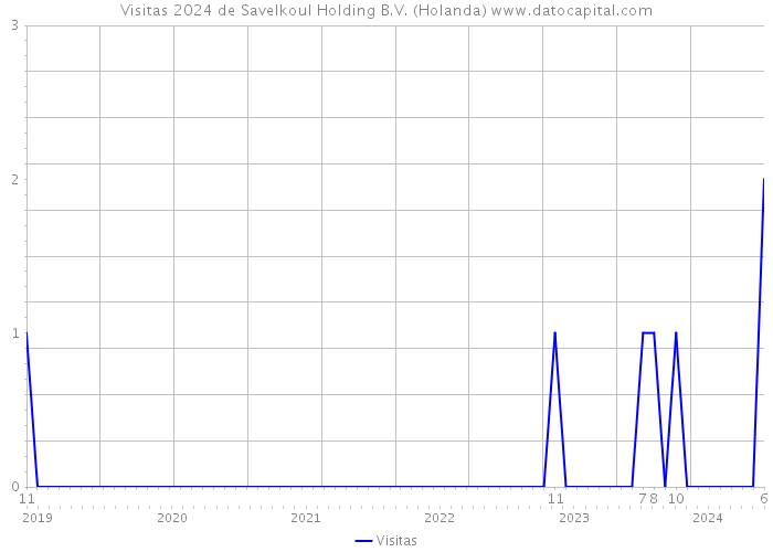 Visitas 2024 de Savelkoul Holding B.V. (Holanda) 