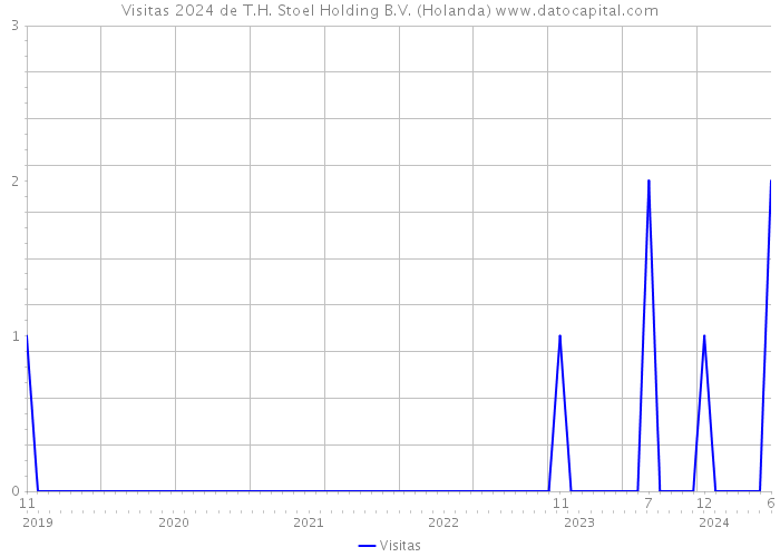 Visitas 2024 de T.H. Stoel Holding B.V. (Holanda) 