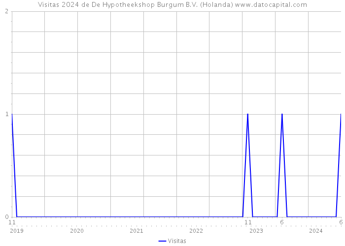 Visitas 2024 de De Hypotheekshop Burgum B.V. (Holanda) 
