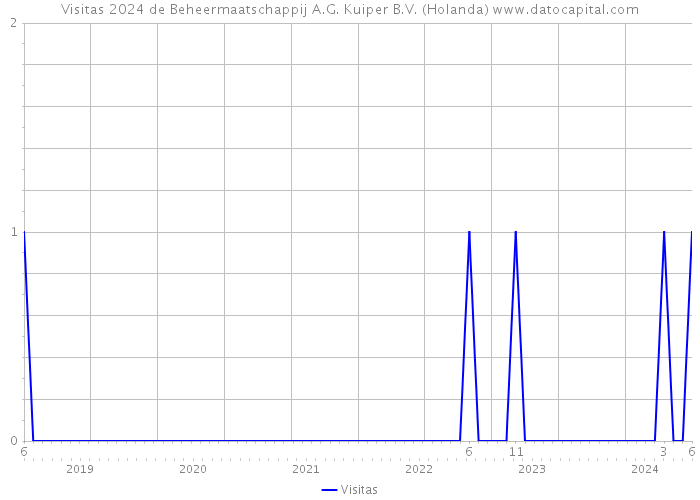 Visitas 2024 de Beheermaatschappij A.G. Kuiper B.V. (Holanda) 