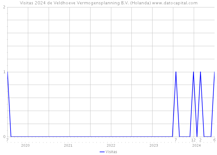 Visitas 2024 de Veldhoeve Vermogensplanning B.V. (Holanda) 