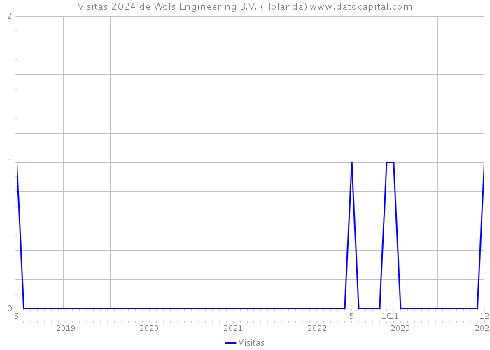 Visitas 2024 de Wols Engineering B.V. (Holanda) 