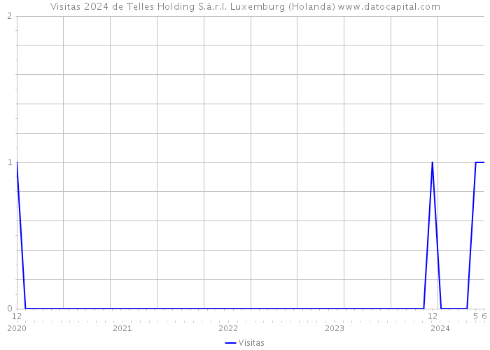Visitas 2024 de Telles Holding S.à.r.l. Luxemburg (Holanda) 