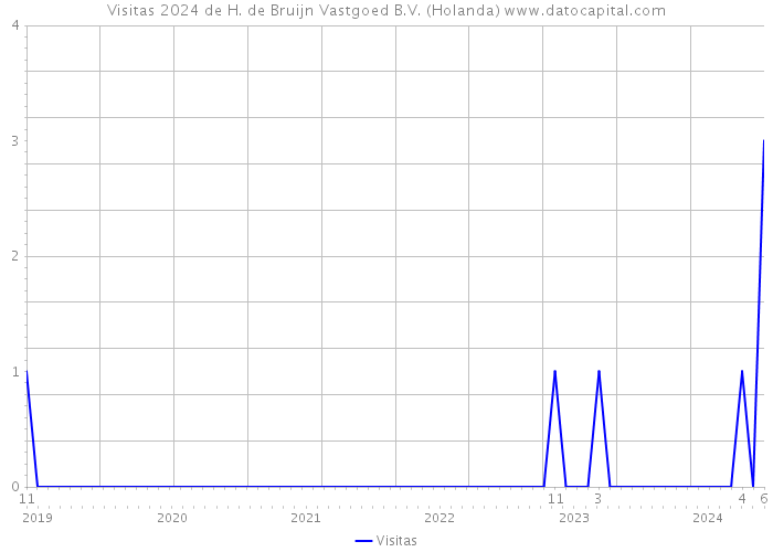 Visitas 2024 de H. de Bruijn Vastgoed B.V. (Holanda) 