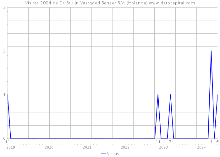 Visitas 2024 de De Bruijn Vastgoed Beheer B.V. (Holanda) 