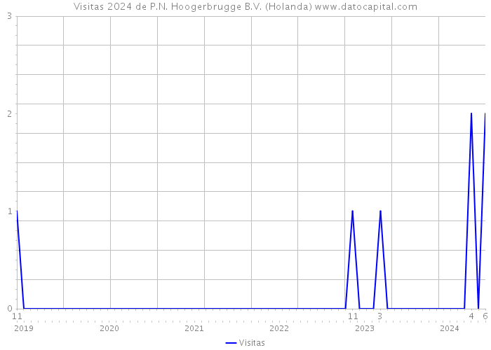 Visitas 2024 de P.N. Hoogerbrugge B.V. (Holanda) 