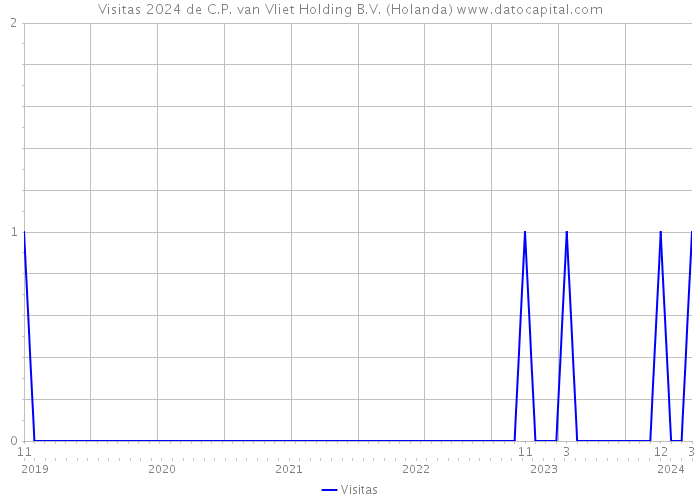 Visitas 2024 de C.P. van Vliet Holding B.V. (Holanda) 