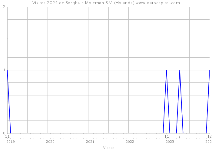 Visitas 2024 de Borghuis Moleman B.V. (Holanda) 